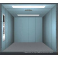 1600 кг Товары Лифт с автоматической дверью в окрашенной стали (XNH-005)